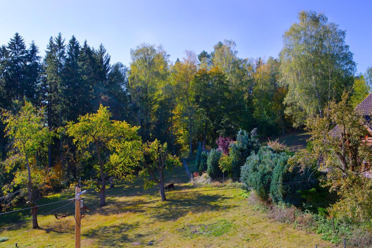 Pension Haus Fuerstenberg Beierfeld Exteriör bild